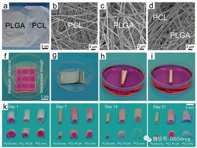 生物3D打印材料 合成材料在人造器官中的關鍵作用